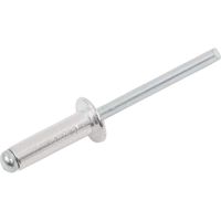 Заклепка, 4,8х16, (100шт)